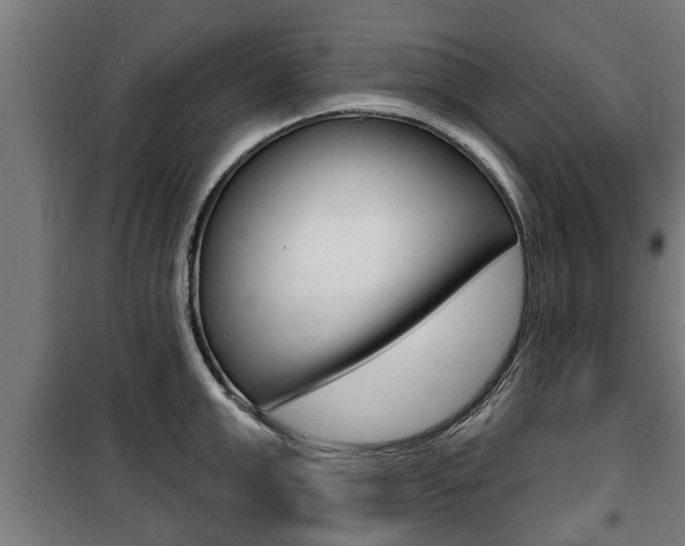 X0000100840999200806200734