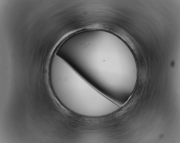 X0000100841000200806200734