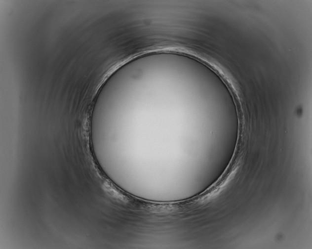 X0000100841001200806200734