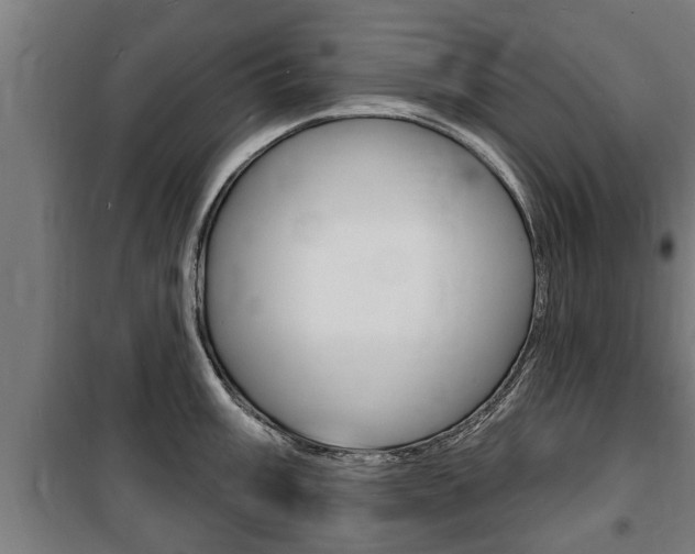 X0000100841003200806200734