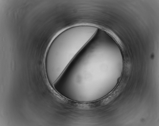 X0000100841004200806200734