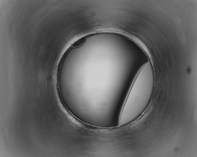 X0000100841005200806200734