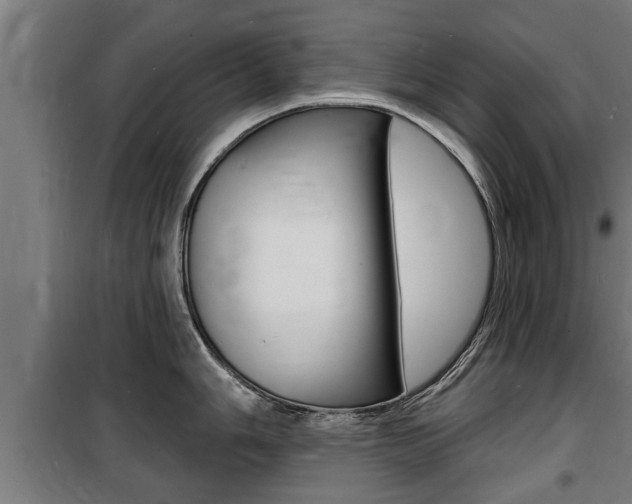 X0000100841006200806200734