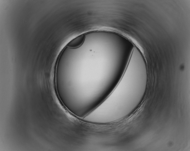 X0000100841007200806200734