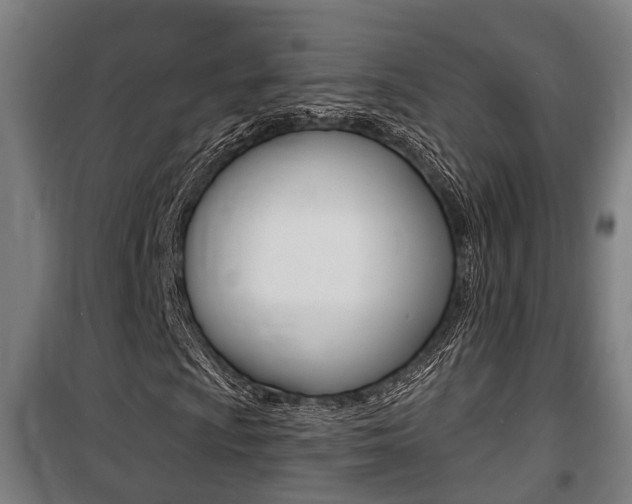 X0000100841009200806200733