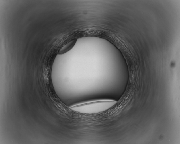 X0000100841010200806200733