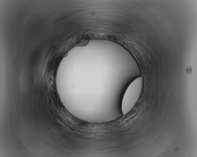 X0000100841011200806200733