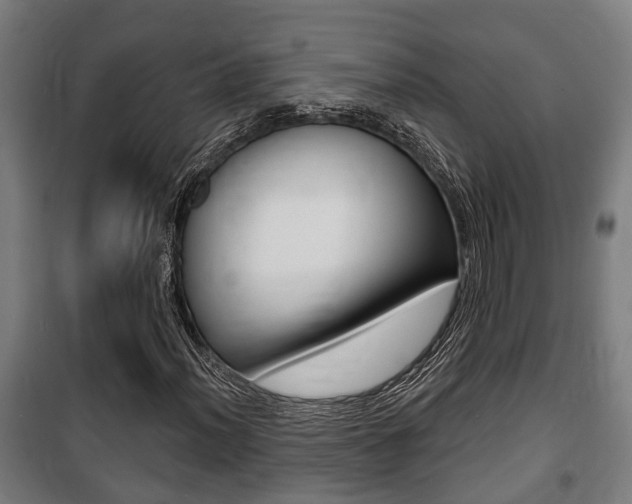 X0000100841012200806200733