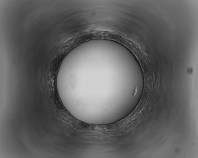 X0000100841013200806200733