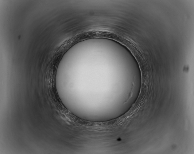 X0000100841014200806200733