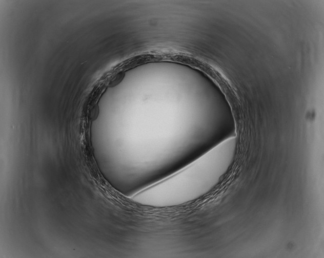 X0000100841016200806200733