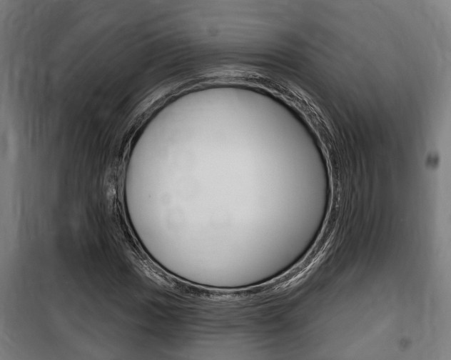 X0000100841017200806200733