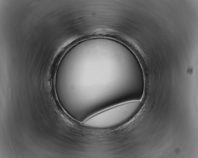 X0000100841018200806200733