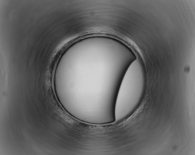 X0000100841019200806200733