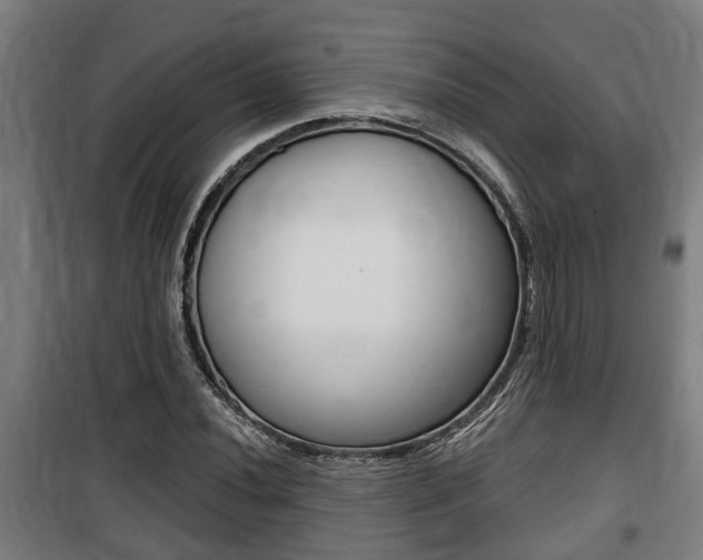 X0000100841020200806200733