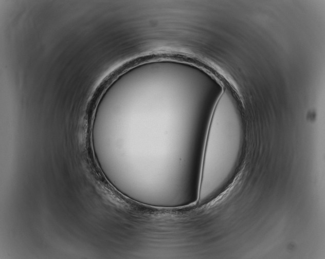 X0000100841021200806200733