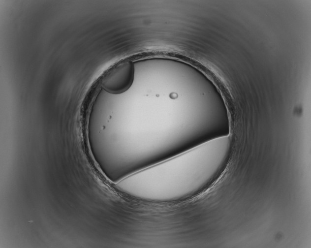 X0000100841022200806200733