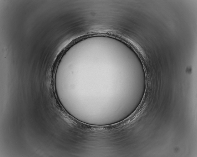 X0000100841023200806200733