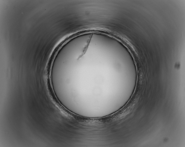 X0000100841024200806200733