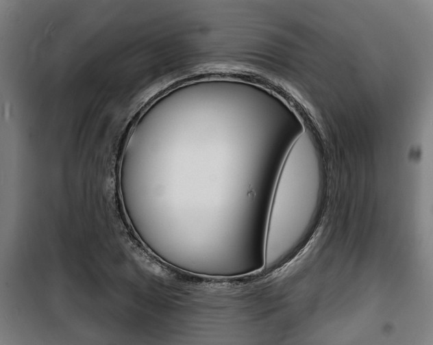 X0000100841025200806200733