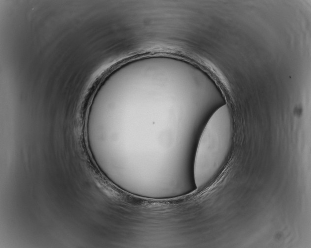 X0000100841027200806200733