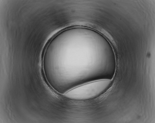 X0000100841028200806200733