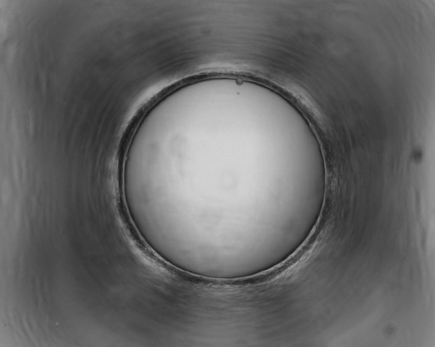 X0000100841030200806200733