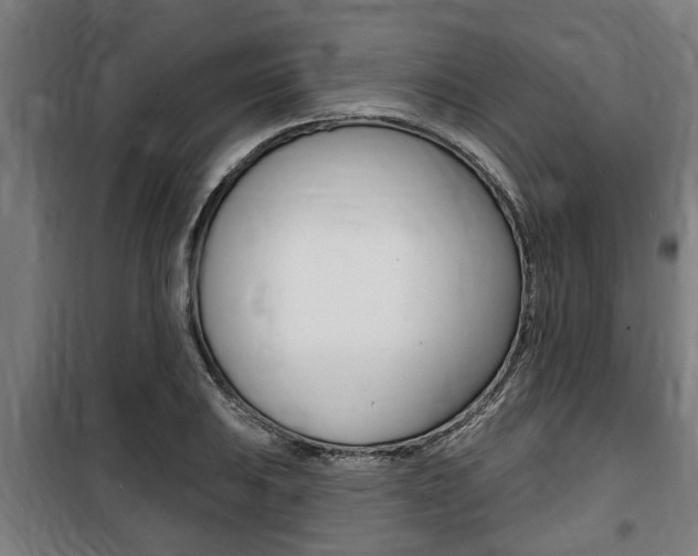 X0000100841031200806200733