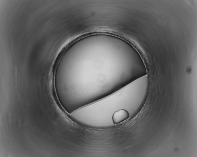 X0000100841032200806200733