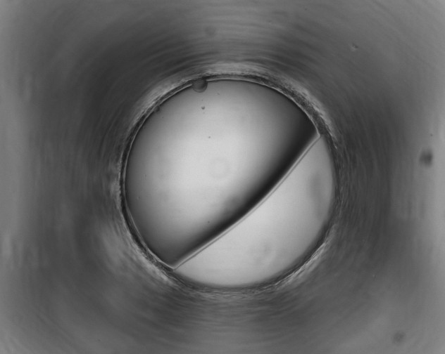 X0000100841033200806200733