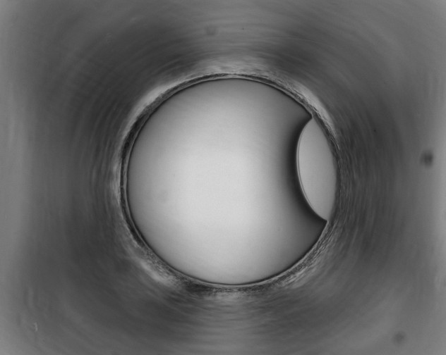 X0000100841035200806200733