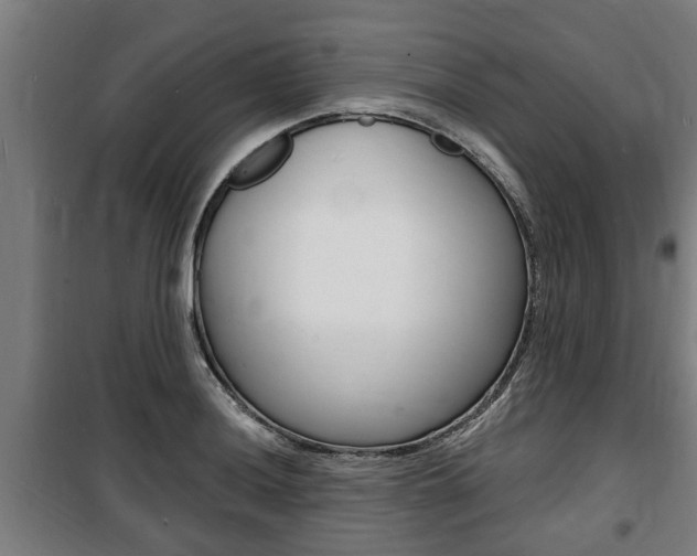 X0000100841036200806200733