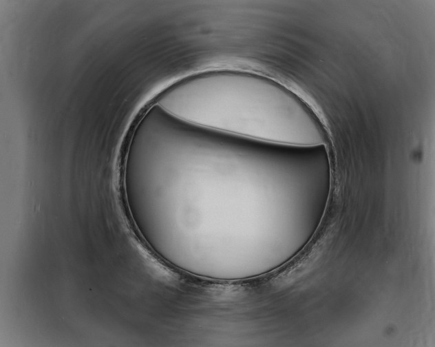 X0000100841037200806200733