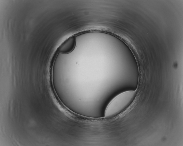 X0000100841038200806200733