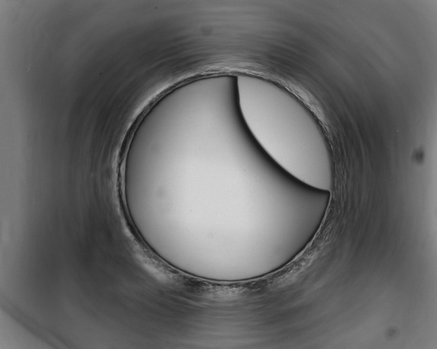 X0000100841039200806200733