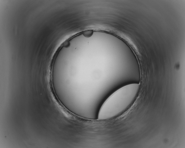 X0000100841040200806200733