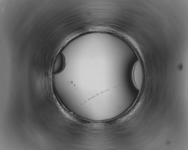 X0000100841041200806200733