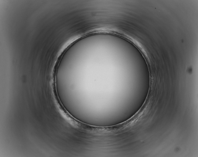 X0000100841042200806200733