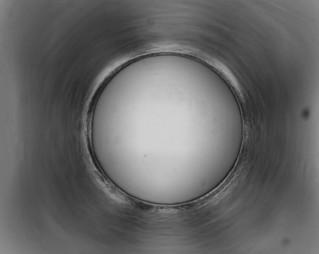 X0000100841043200806200733