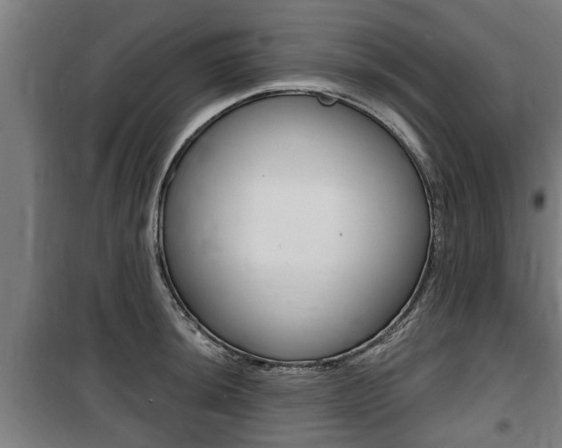 X0000100841044200806200733