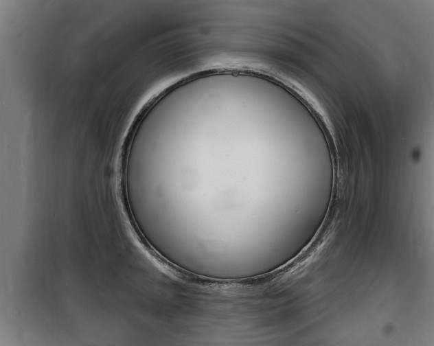 X0000100841045200806200733