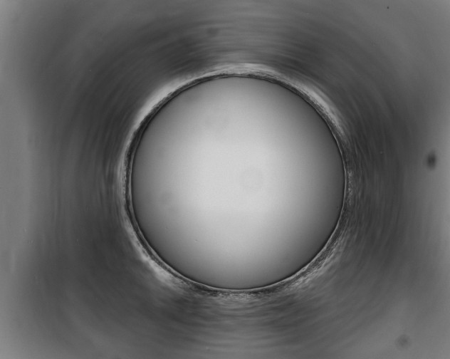 X0000100841046200806200733