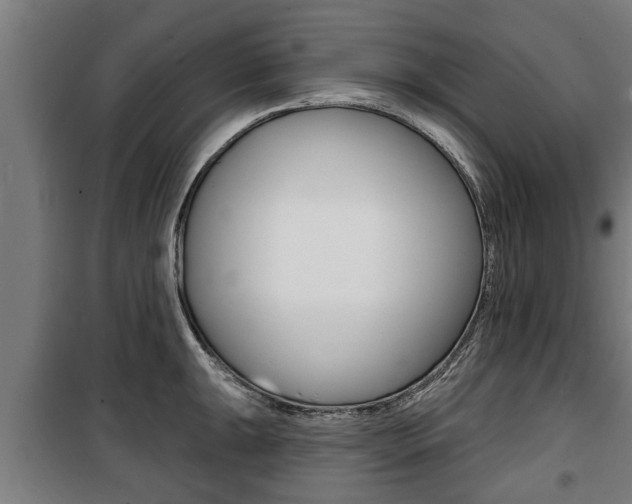 X0000100841047200806200733