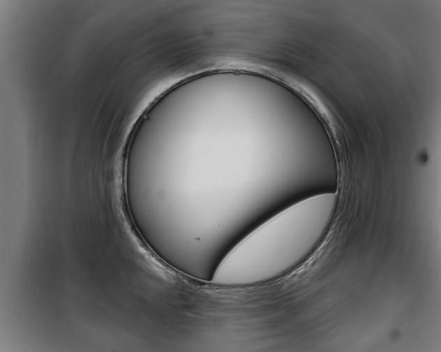 X0000100841048200806200733