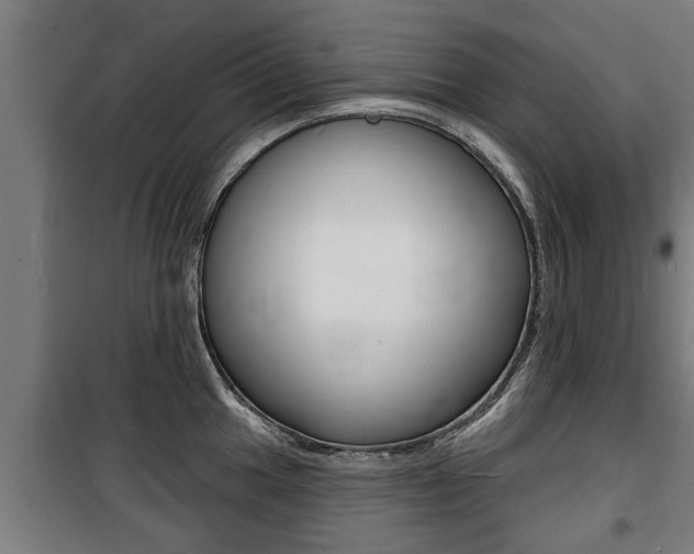 X0000100841049200806200733