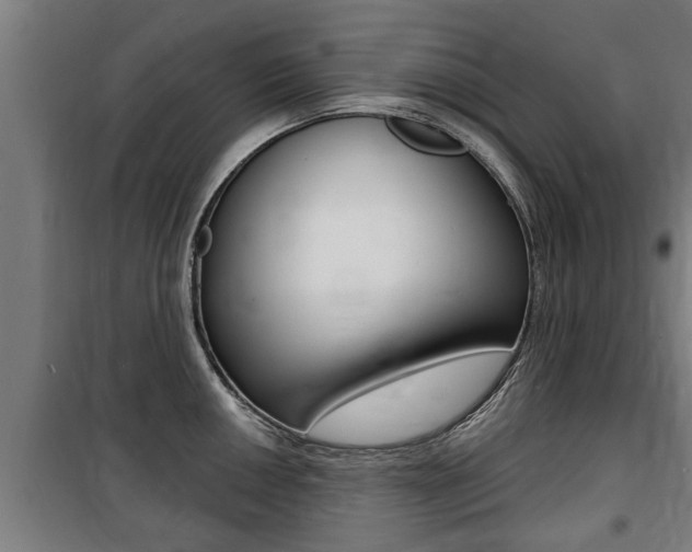 X0000100841050200806200734