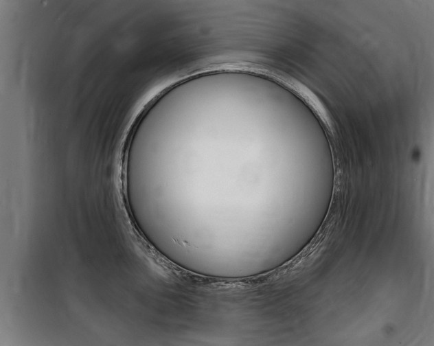 X0000100841051200806200734