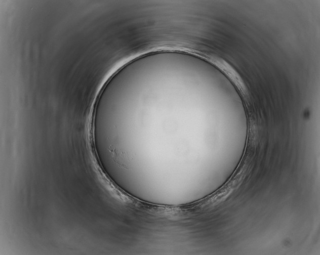 X0000100841052200806200734