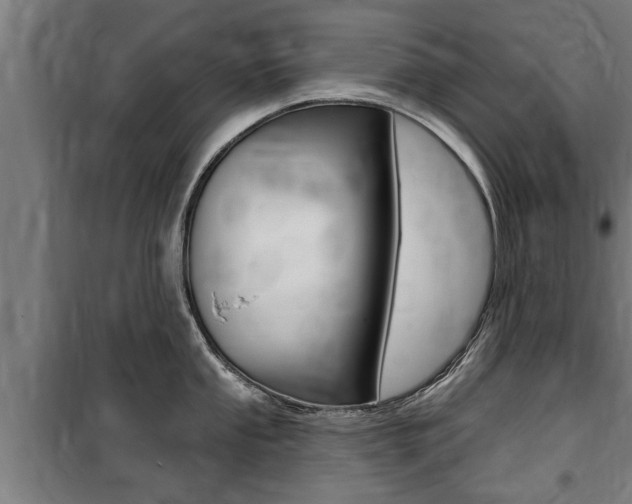 X0000100841053200806200734