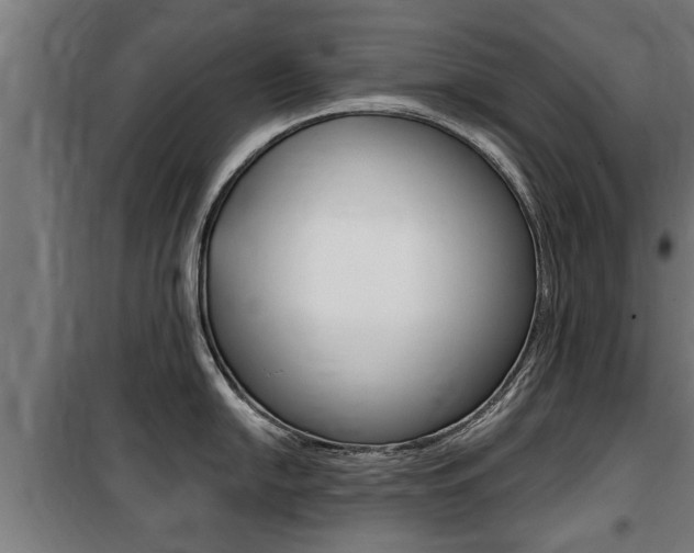 X0000100841054200806200734